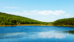 藝淼汙水處理技術，讓新廠無後顧之憂！