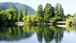 藝淼汙水處理技術，讓新廠無後顧之憂！